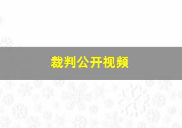 裁判公开视频