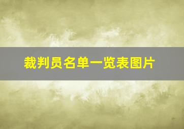 裁判员名单一览表图片