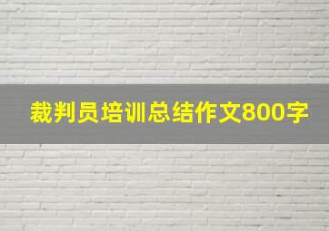 裁判员培训总结作文800字