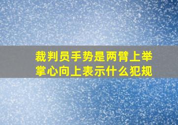 裁判员手势是两臂上举掌心向上表示什么犯规