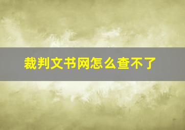 裁判文书网怎么查不了