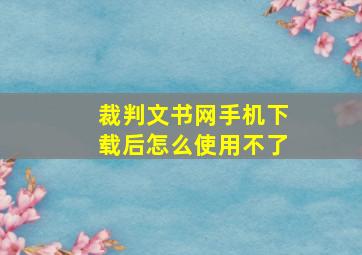 裁判文书网手机下载后怎么使用不了