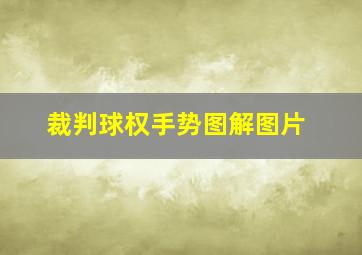 裁判球权手势图解图片