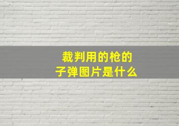 裁判用的枪的子弹图片是什么