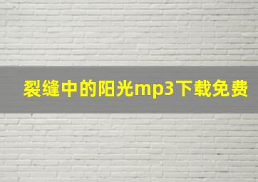 裂缝中的阳光mp3下载免费