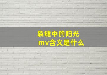 裂缝中的阳光mv含义是什么