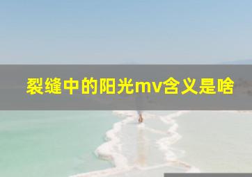 裂缝中的阳光mv含义是啥