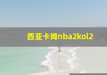 西亚卡姆nba2kol2