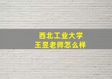 西北工业大学王昱老师怎么样