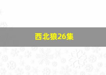 西北狼26集