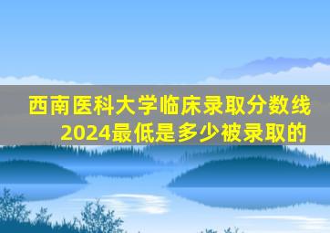 西南医科大学临床录取分数线2024最低是多少被录取的