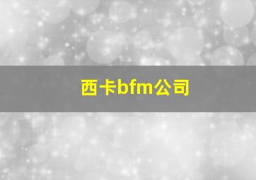 西卡bfm公司