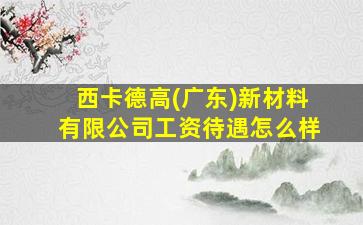 西卡德高(广东)新材料有限公司工资待遇怎么样