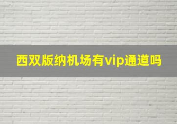 西双版纳机场有vip通道吗