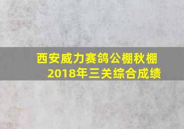 西安威力赛鸽公棚秋棚2018年三关综合成绩