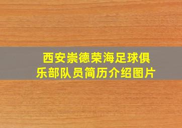 西安崇德荣海足球俱乐部队员简历介绍图片