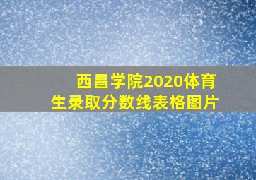 西昌学院2020体育生录取分数线表格图片