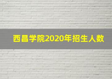 西昌学院2020年招生人数