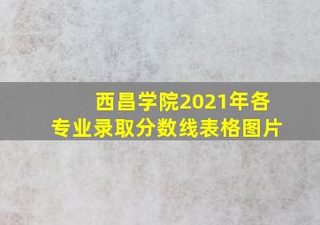 西昌学院2021年各专业录取分数线表格图片