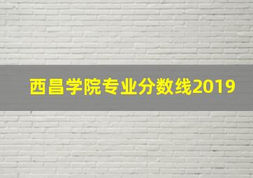 西昌学院专业分数线2019