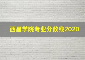 西昌学院专业分数线2020