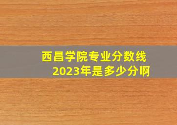 西昌学院专业分数线2023年是多少分啊