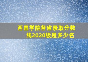 西昌学院各省录取分数线2020级是多少名