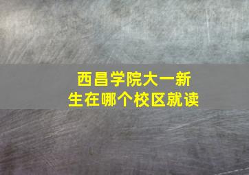 西昌学院大一新生在哪个校区就读