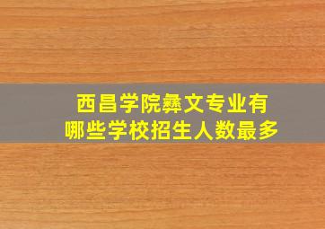 西昌学院彝文专业有哪些学校招生人数最多