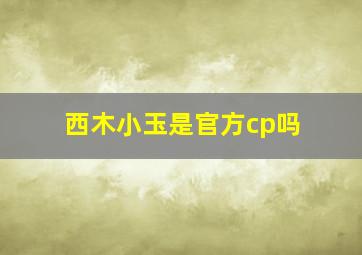 西木小玉是官方cp吗