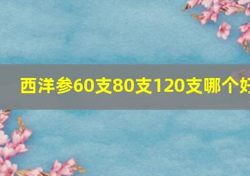 西洋参60支80支120支哪个好