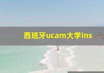 西班牙ucam大学ins