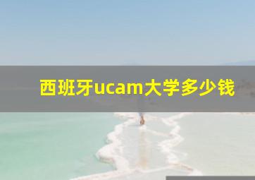 西班牙ucam大学多少钱