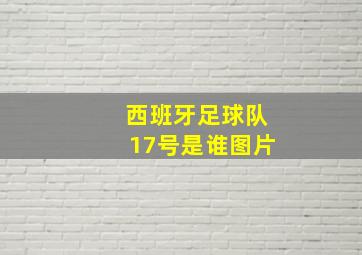 西班牙足球队17号是谁图片