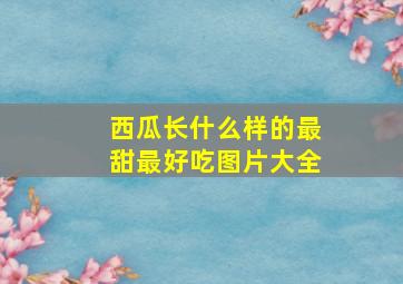 西瓜长什么样的最甜最好吃图片大全