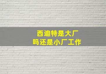 西迪特是大厂吗还是小厂工作