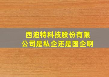 西迪特科技股份有限公司是私企还是国企啊