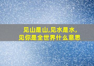 见山是山,见水是水,见你是全世界什么意思