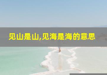 见山是山,见海是海的意思