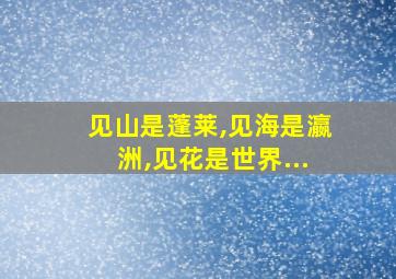 见山是蓬莱,见海是瀛洲,见花是世界...