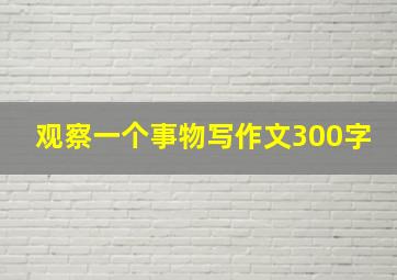 观察一个事物写作文300字