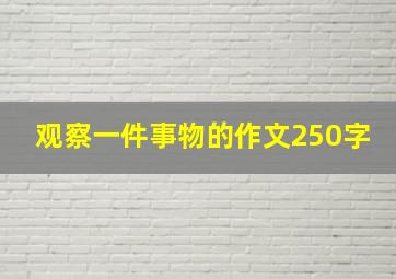 观察一件事物的作文250字