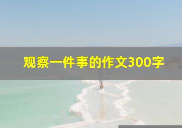 观察一件事的作文300字