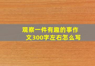 观察一件有趣的事作文300字左右怎么写