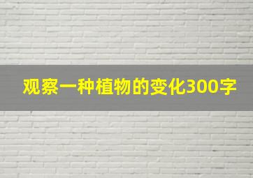 观察一种植物的变化300字