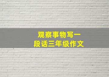 观察事物写一段话三年级作文