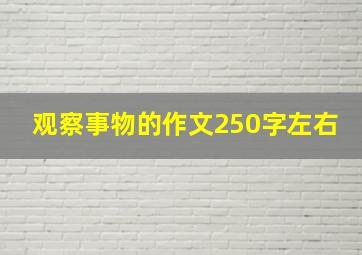 观察事物的作文250字左右