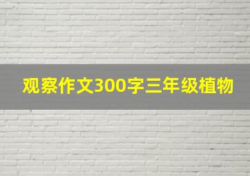 观察作文300字三年级植物