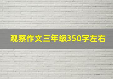 观察作文三年级350字左右