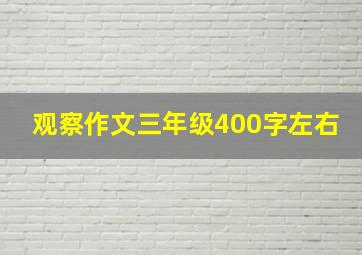 观察作文三年级400字左右